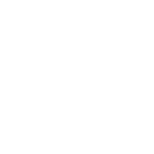 Little Needle