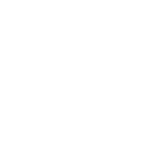 OL TAX Consulting