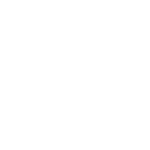 Servitronic