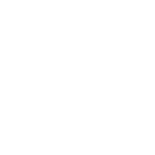Sputowski Wedding Video